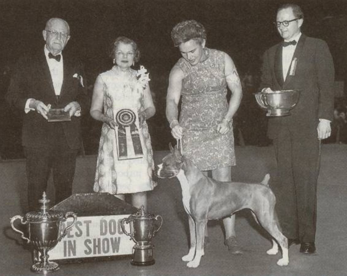 The Magic of Westminster